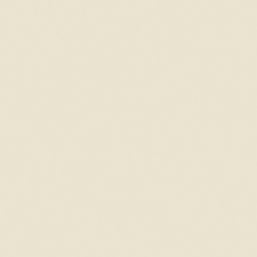 Seashell white matt velvet AFP