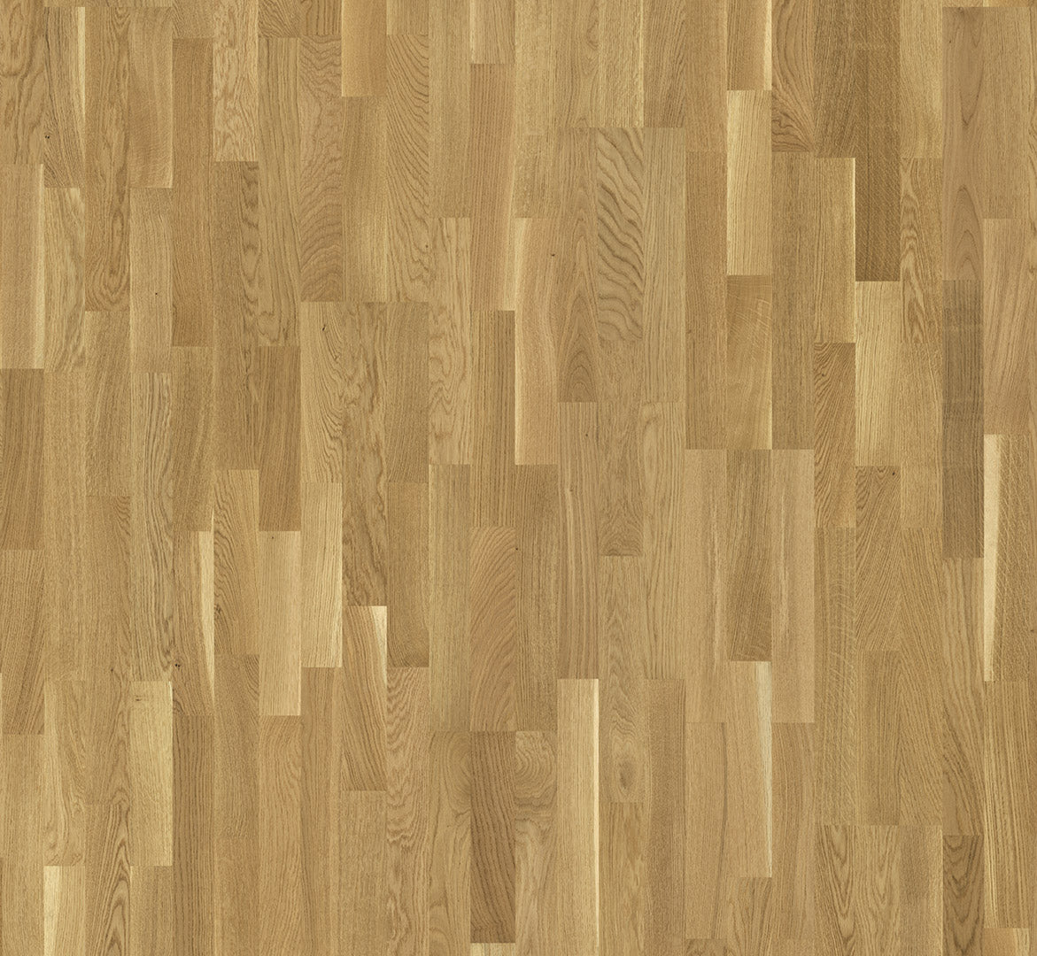 Oak