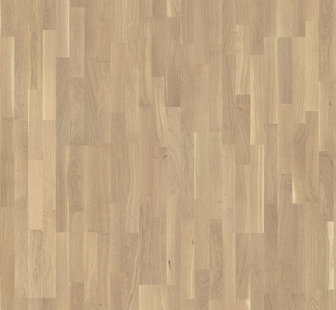 Oak