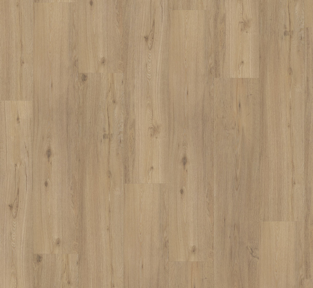 Oak sanded