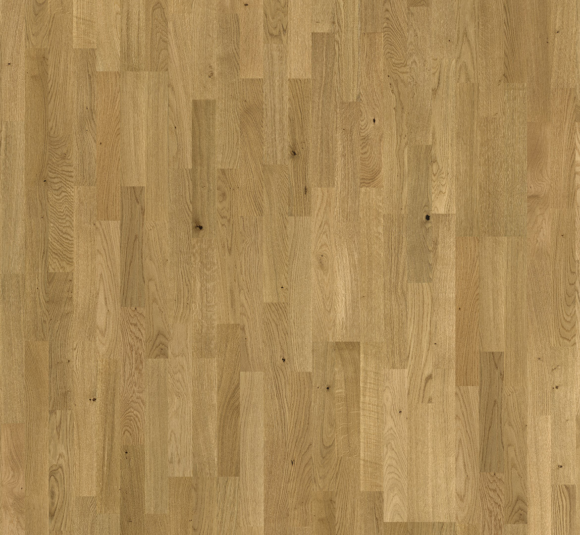 Knotty oak