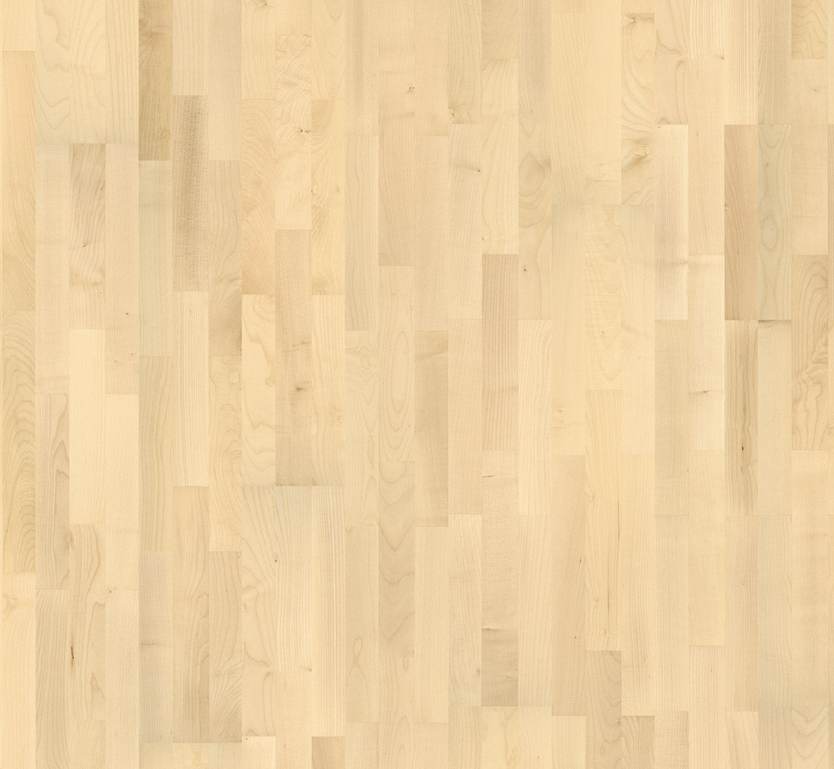 European maple