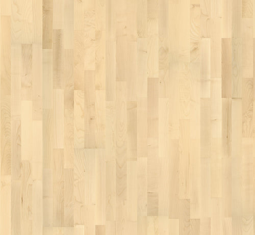 European maple