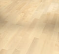 European maple