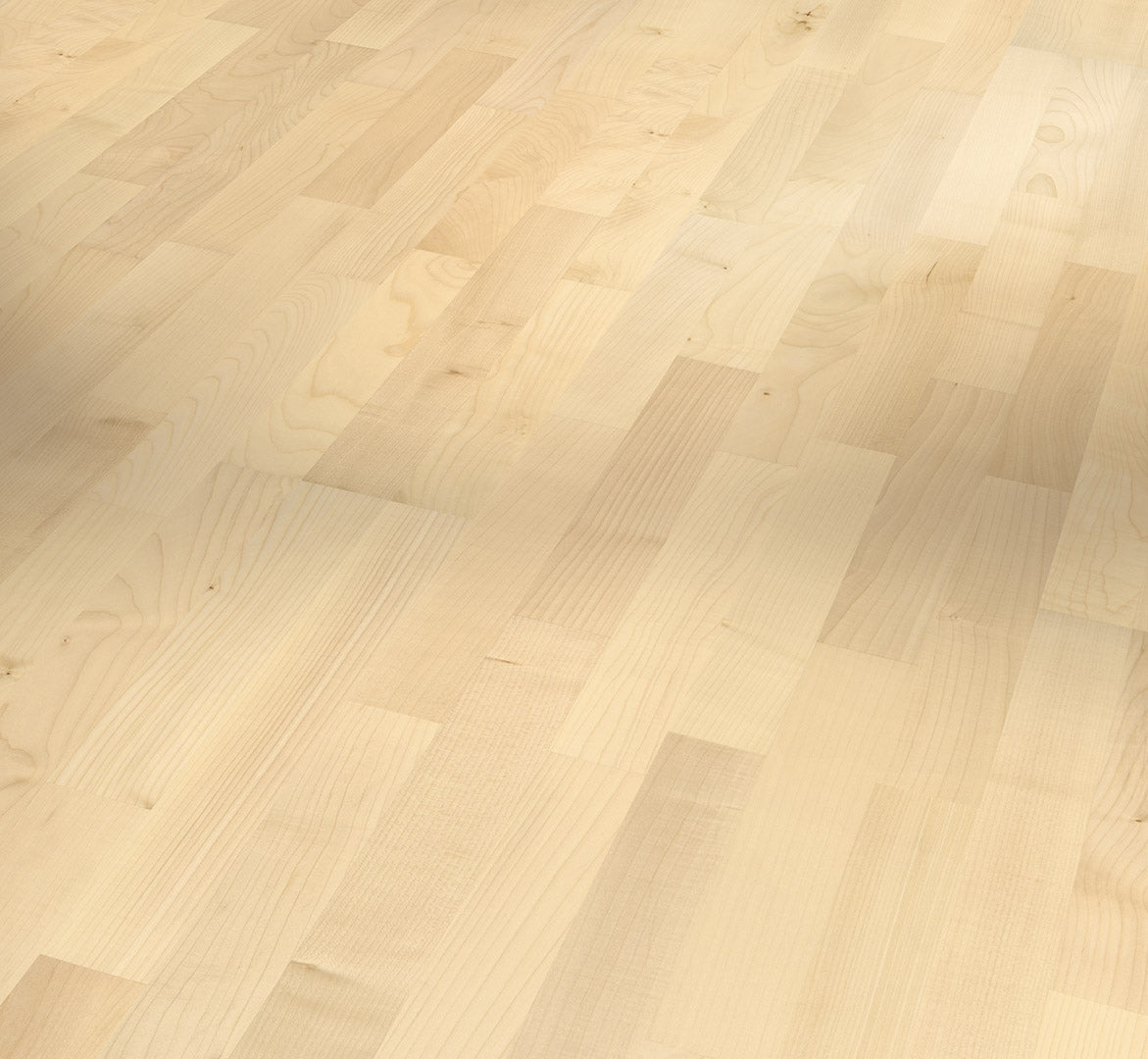 European maple