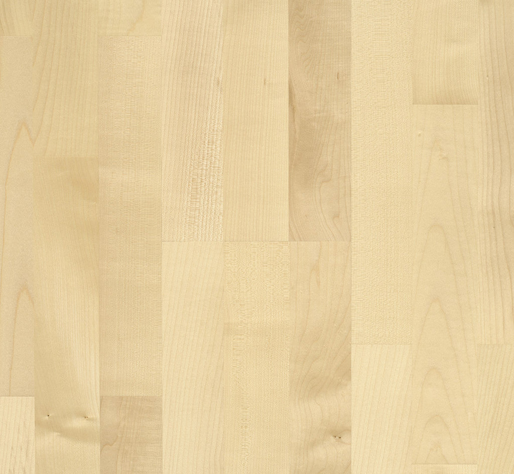 European maple