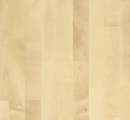 European maple