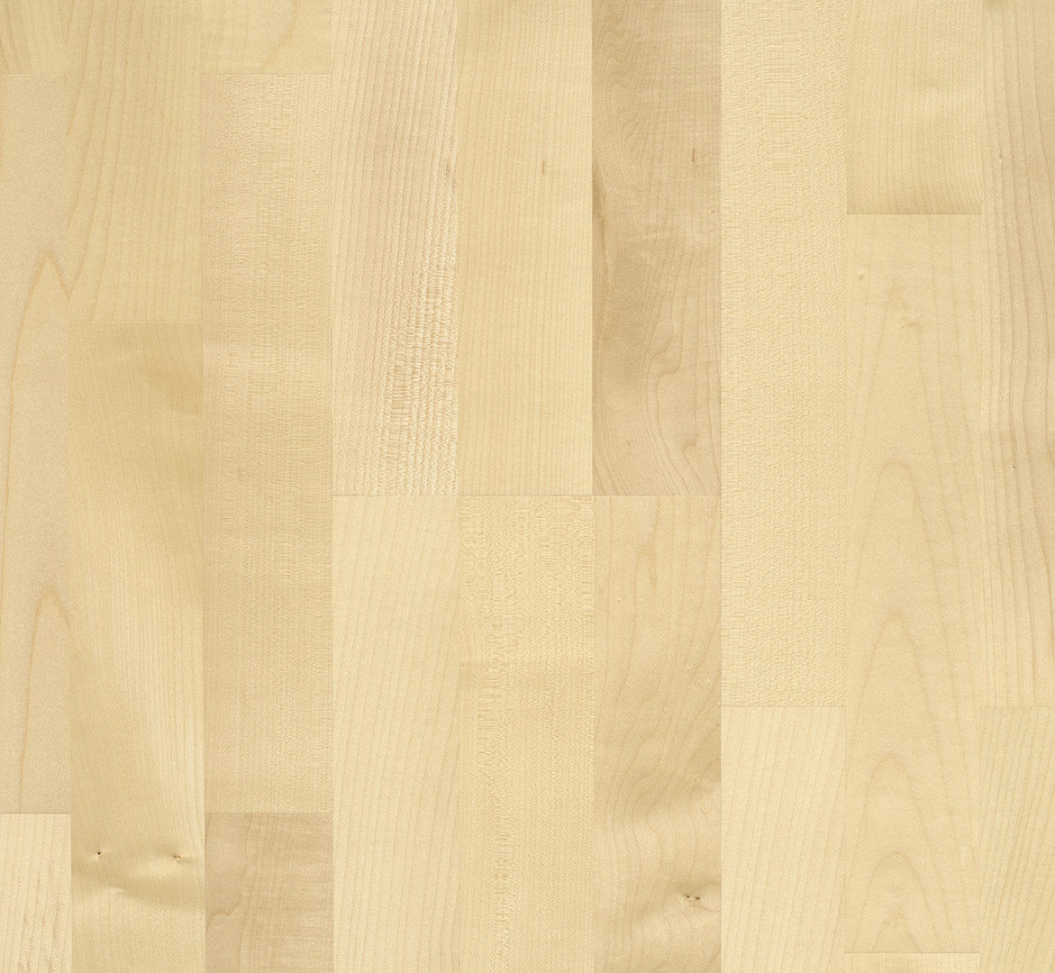 European maple