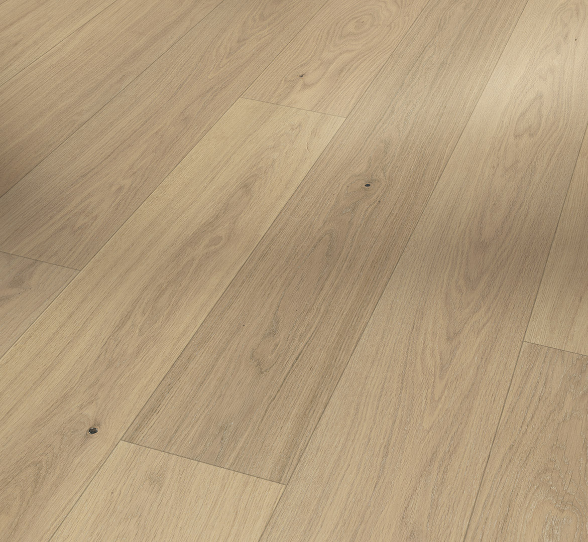 Oak