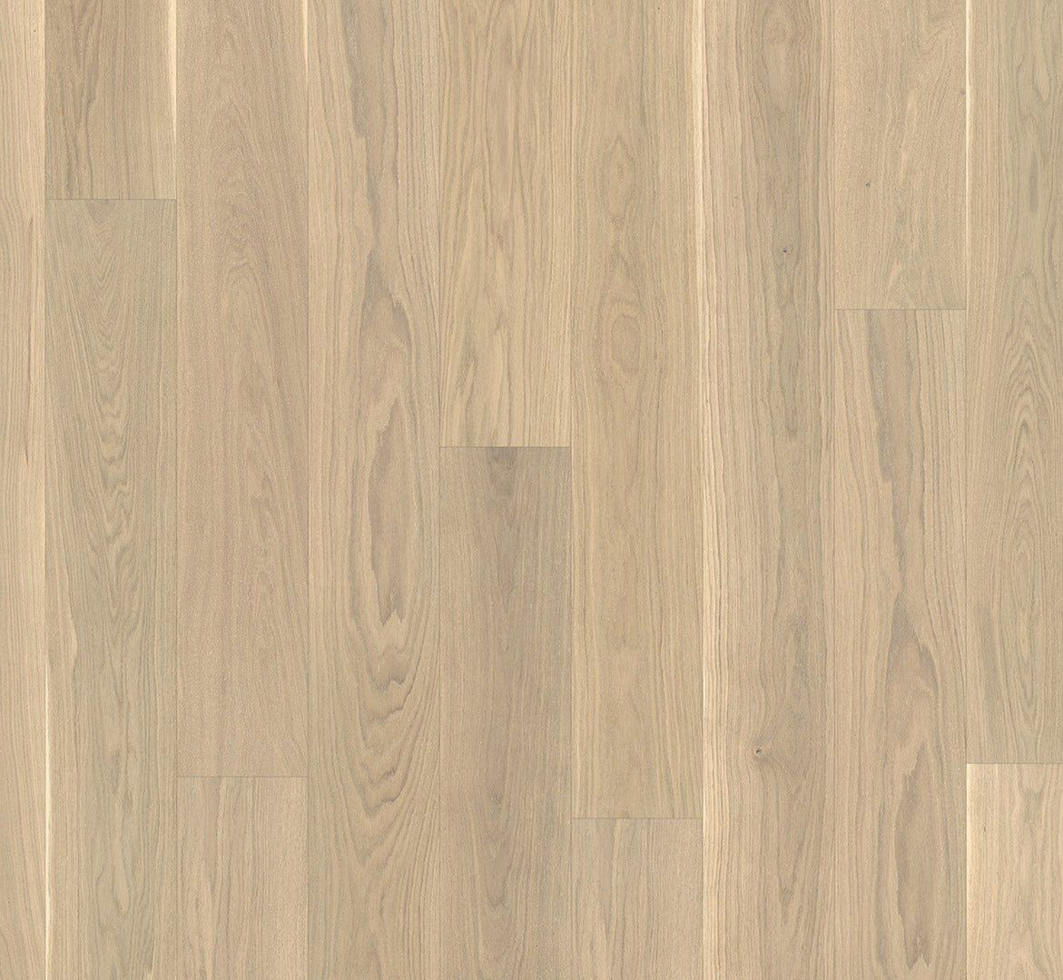 Oak