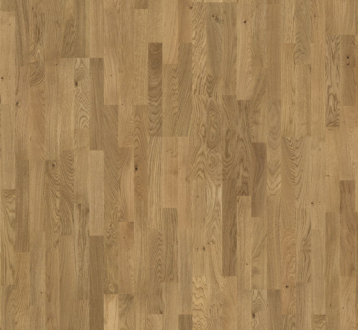 Knotty oak