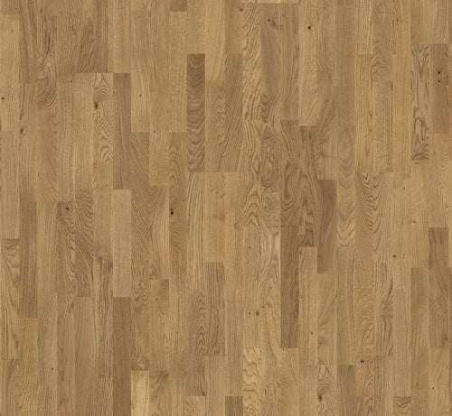 Knotty oak