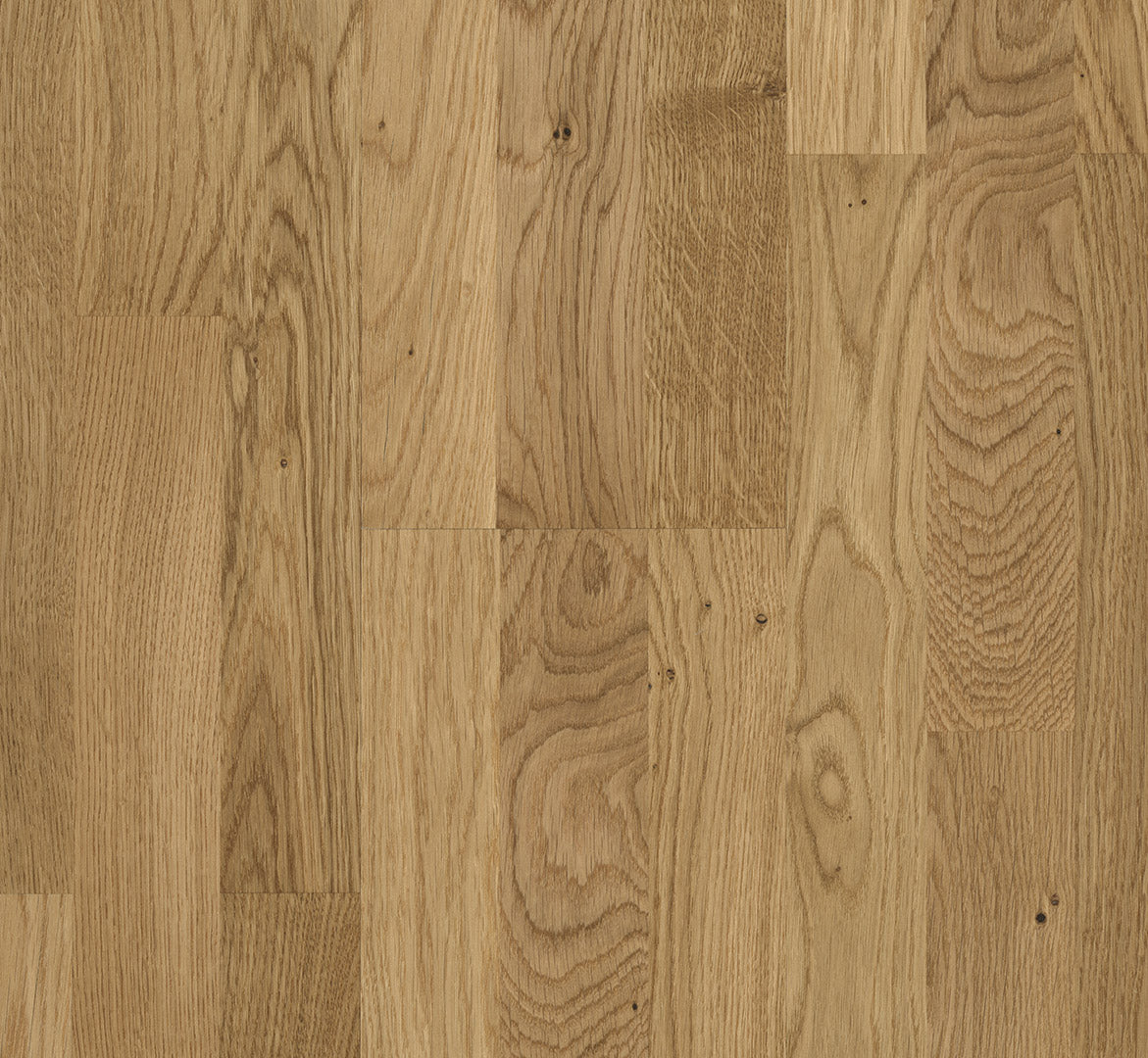 Knotty oak