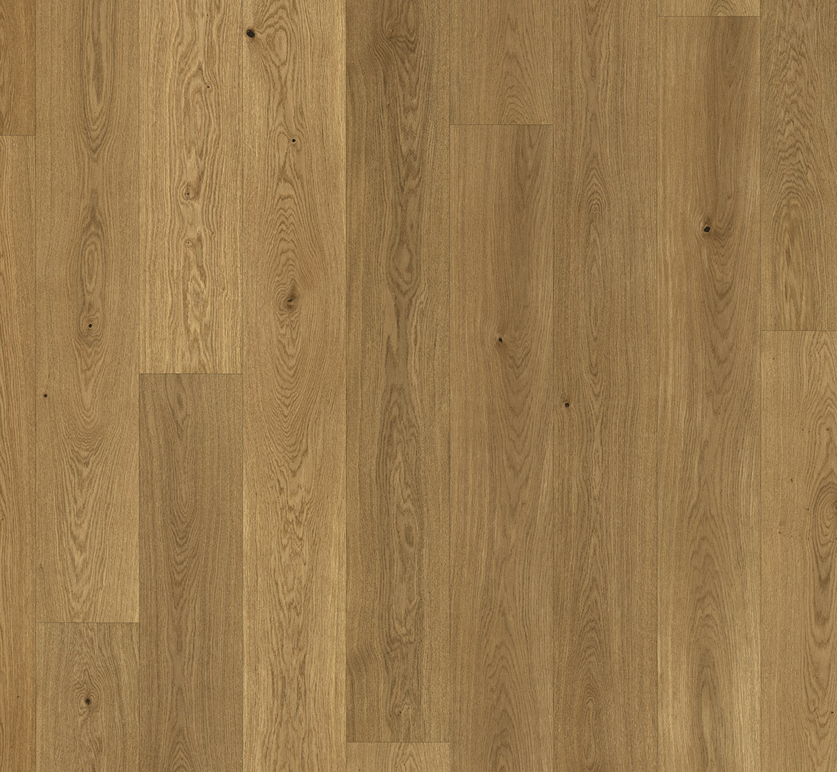 Oak