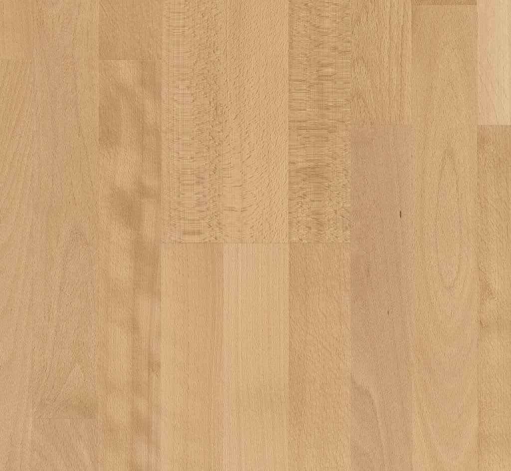 Beech