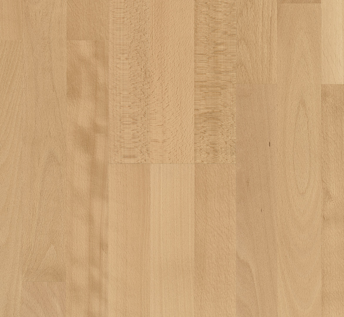 Beech