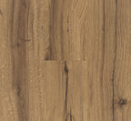 Oak History
