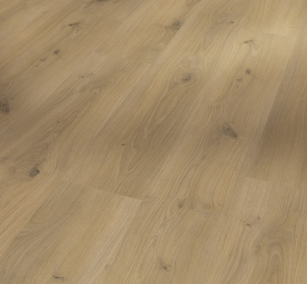Oak Horizont natural