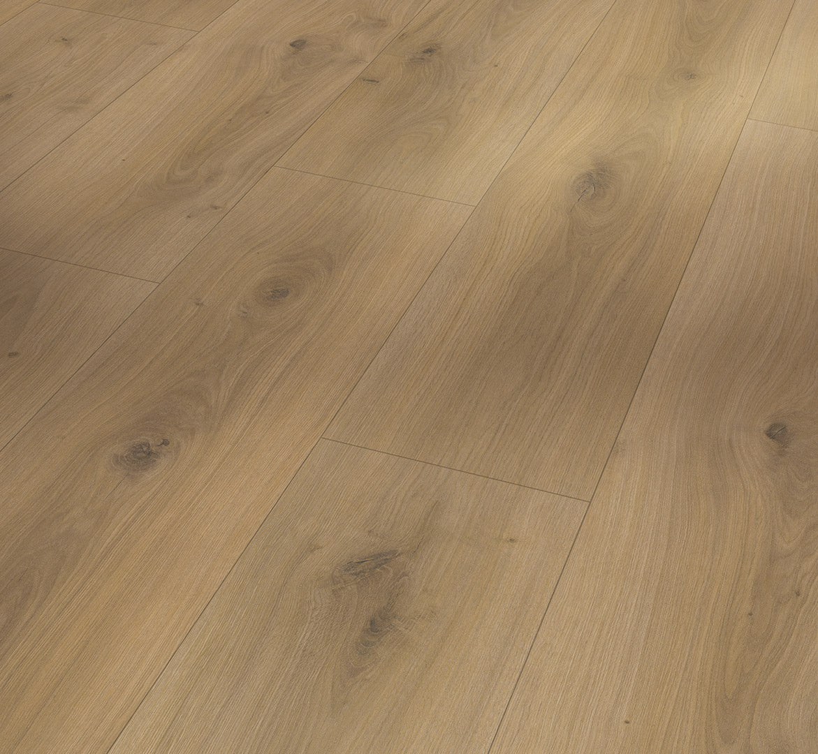 Oak Horizont natural