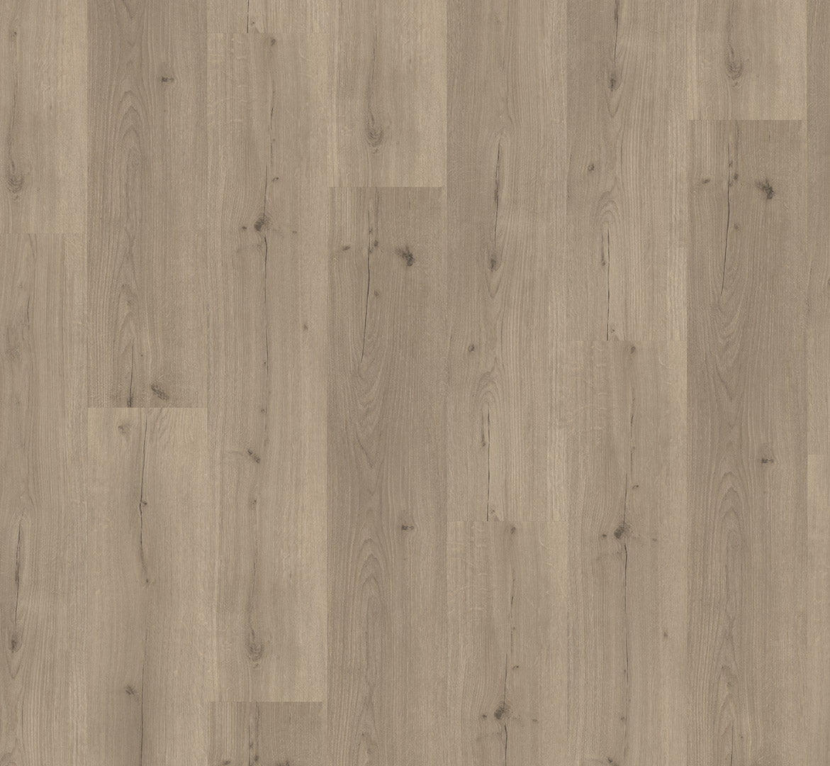 Oak Infinity grey