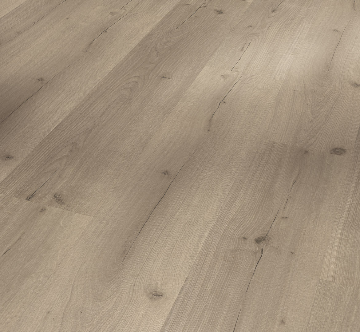 Oak Infinity grey