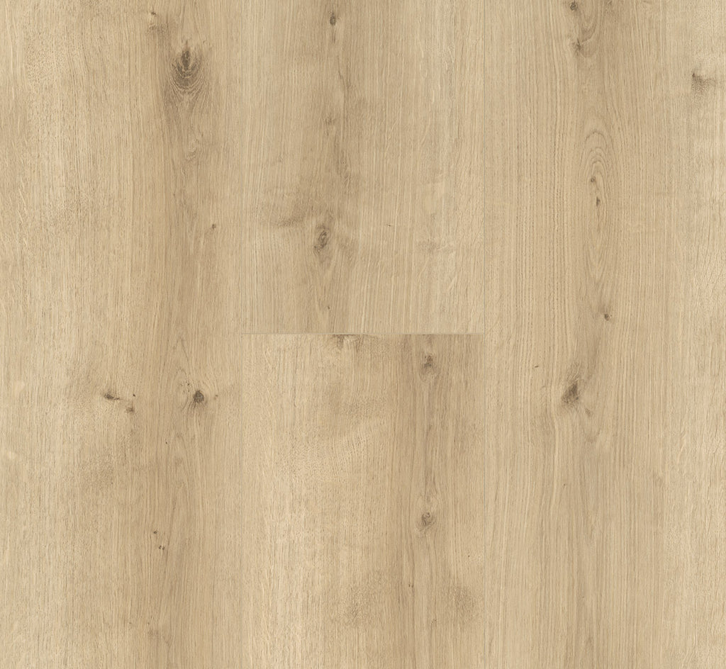 Oak Pure light