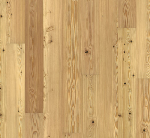 Larch
