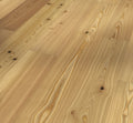 Larch