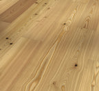 Larch