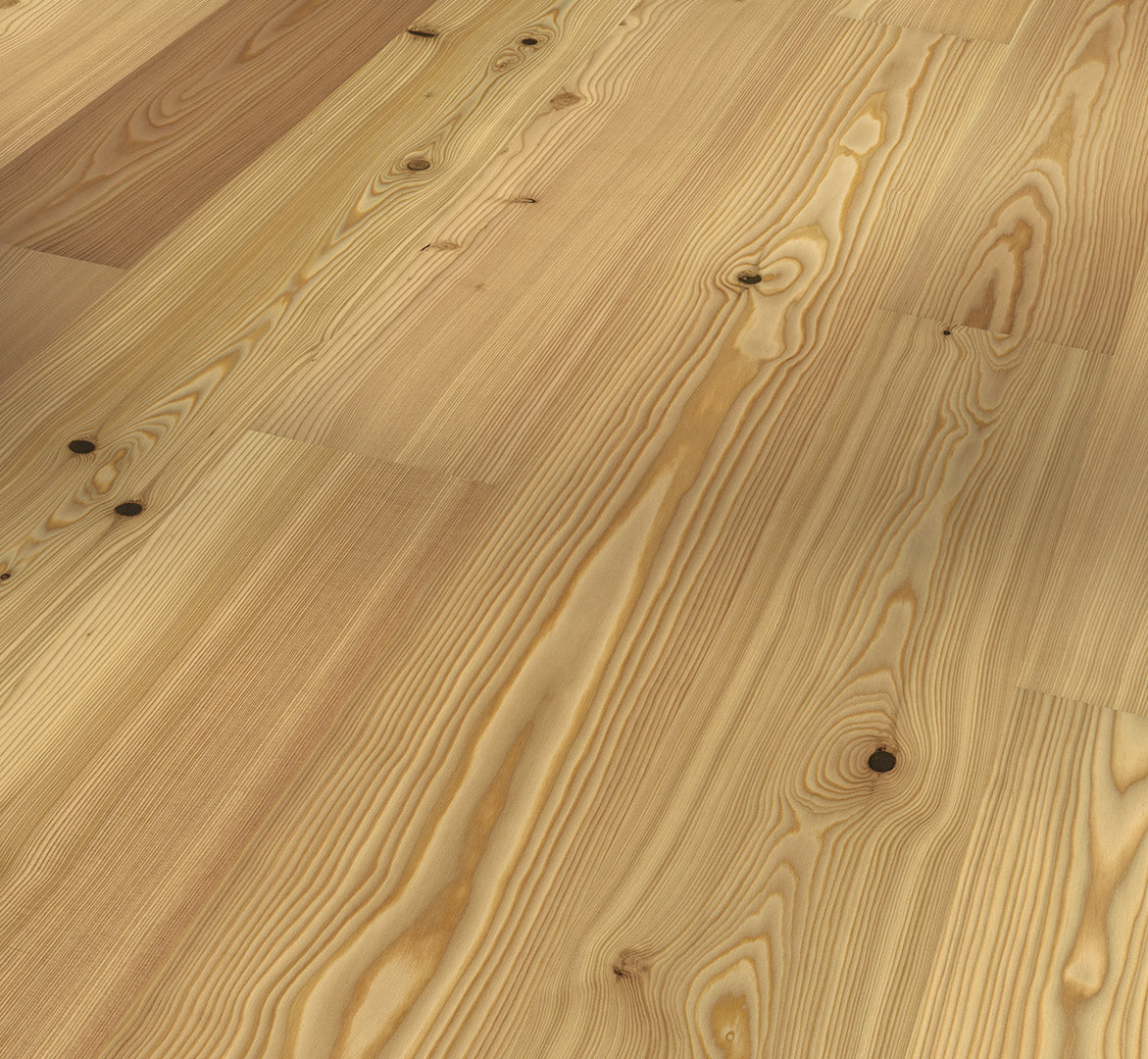 Larch