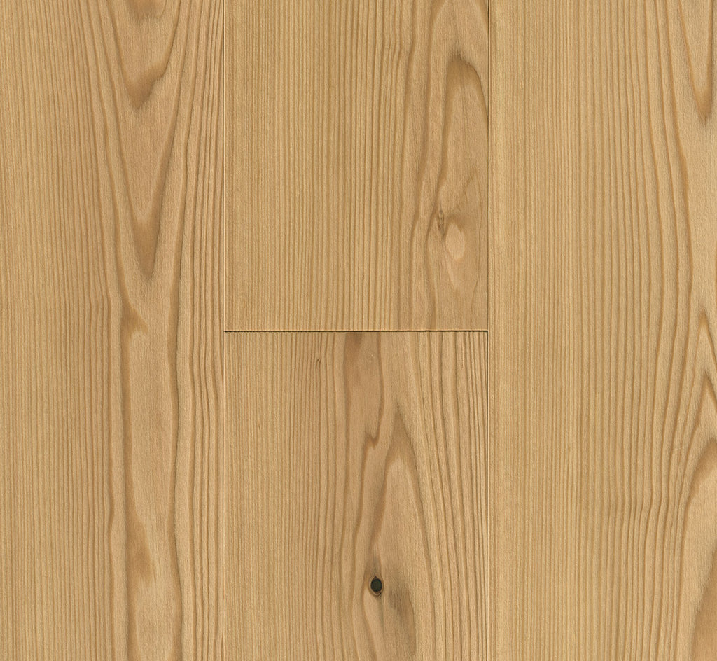 Larch