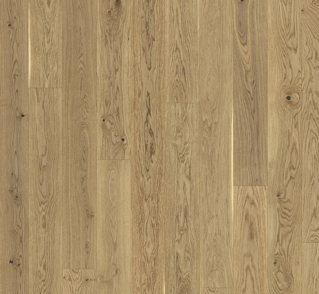 Oak cream
