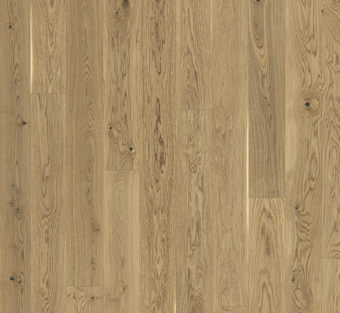 Oak cream
