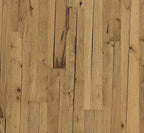 Oak Tree plank