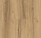 Oak Chronicle