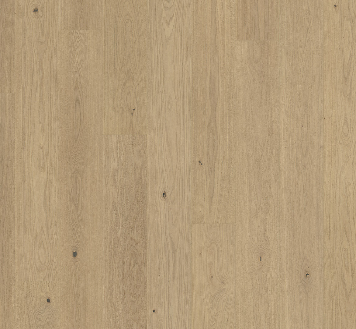 Oak sanded