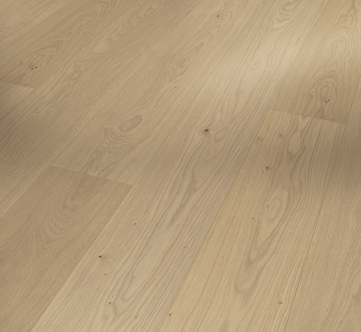 Oak sanded
