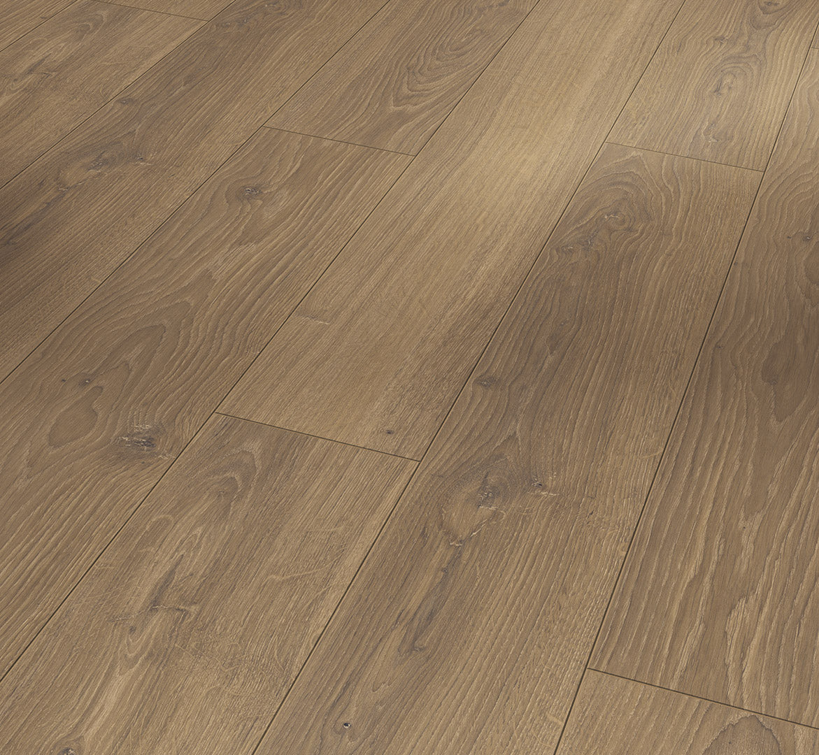Oak Studioline honey