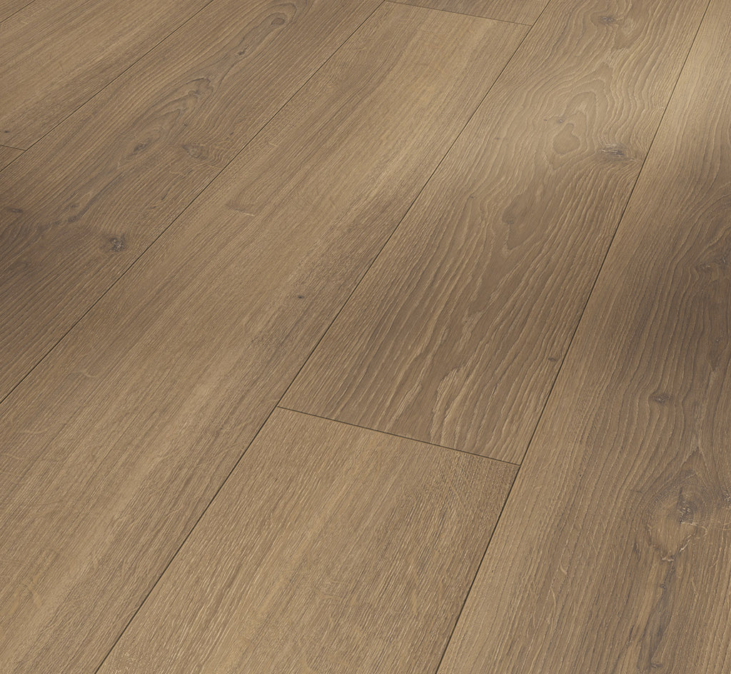 Oak Studioline honey