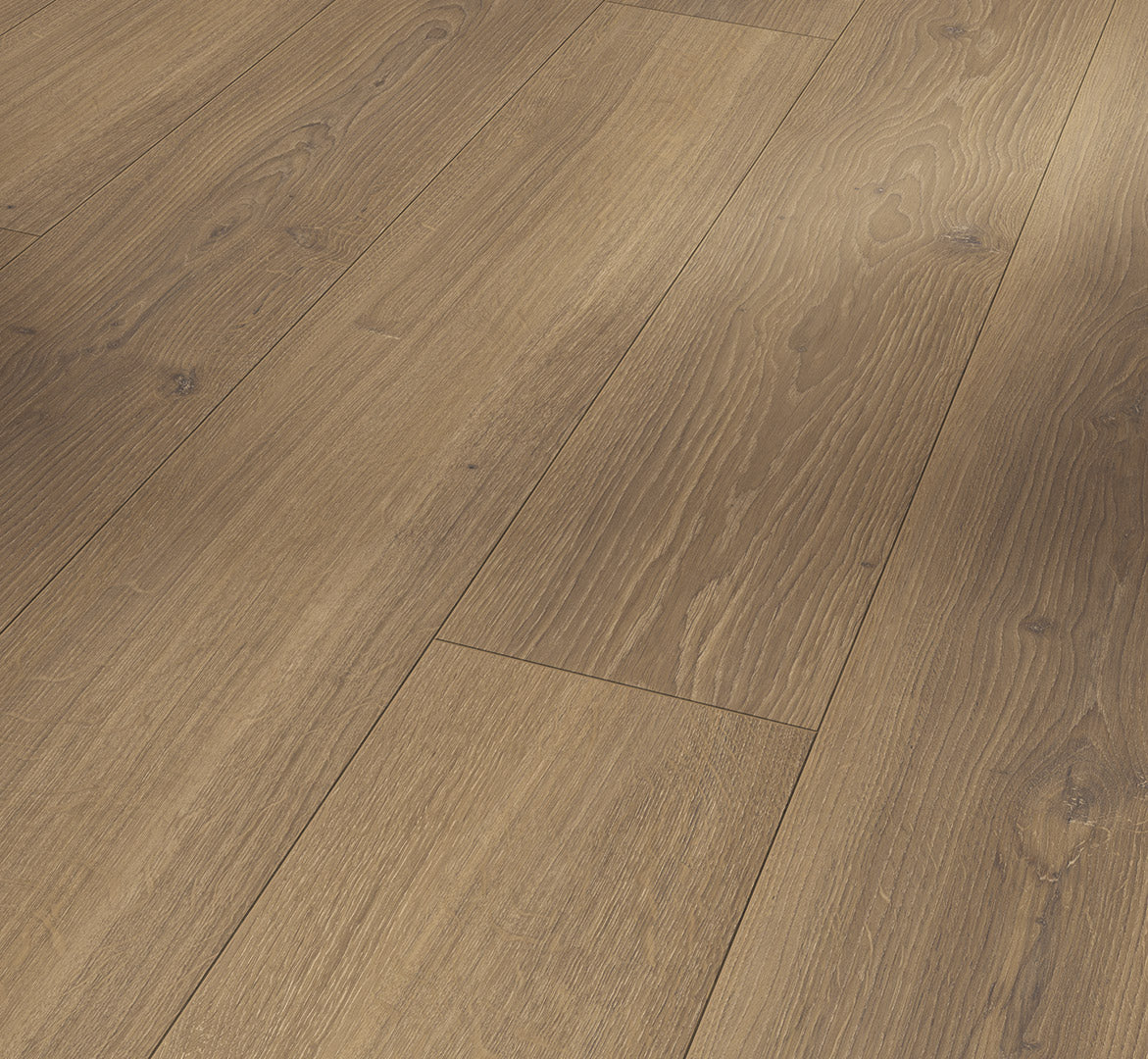 Oak Studioline honey