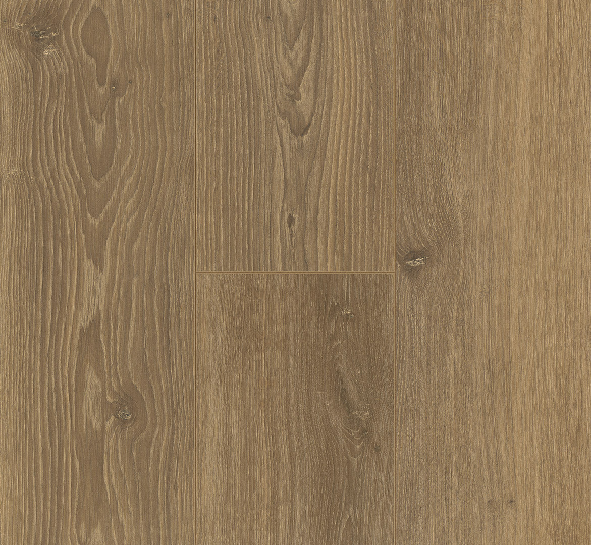 Oak Studioline honey
