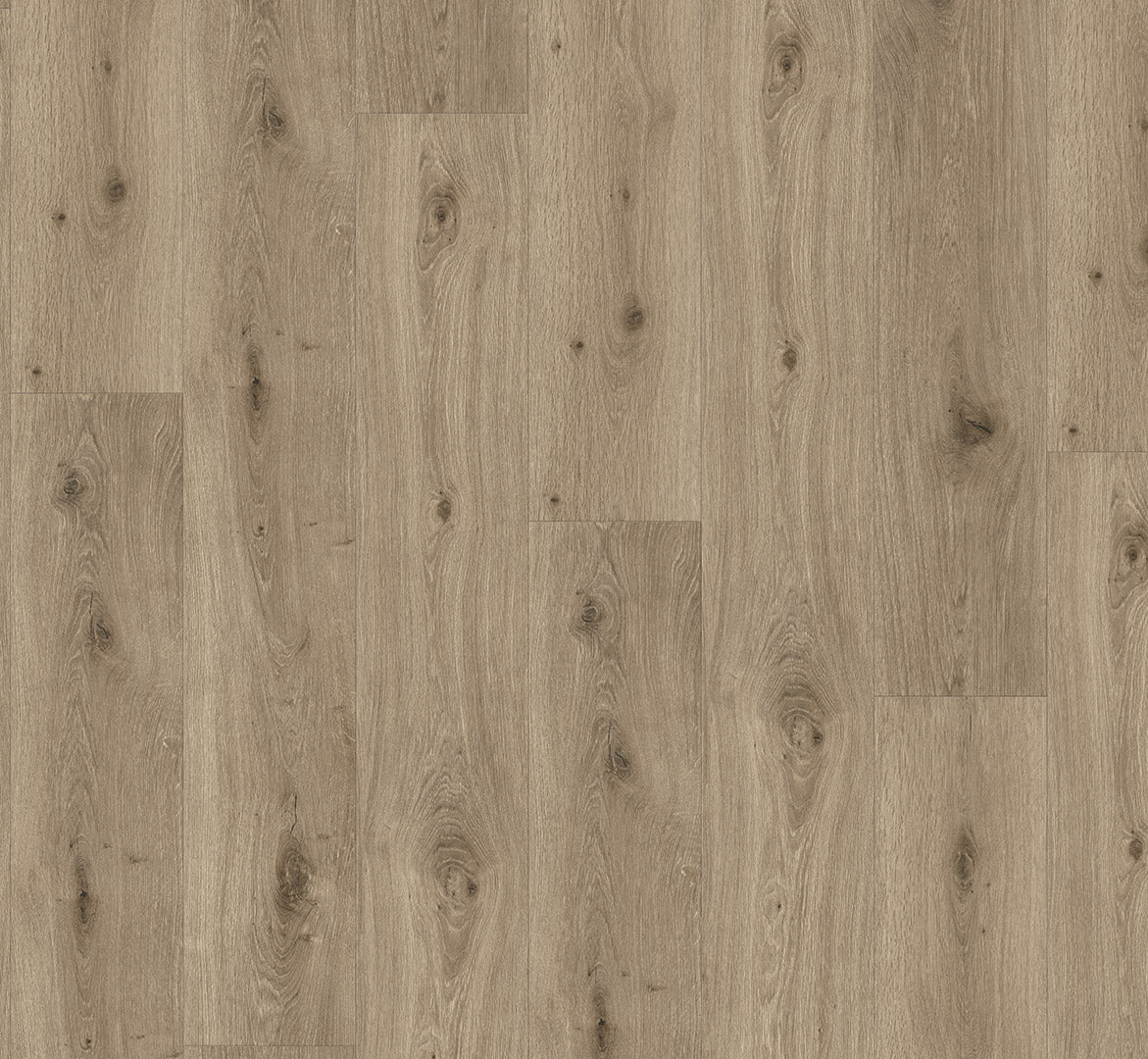 Oak Imperial macchiato