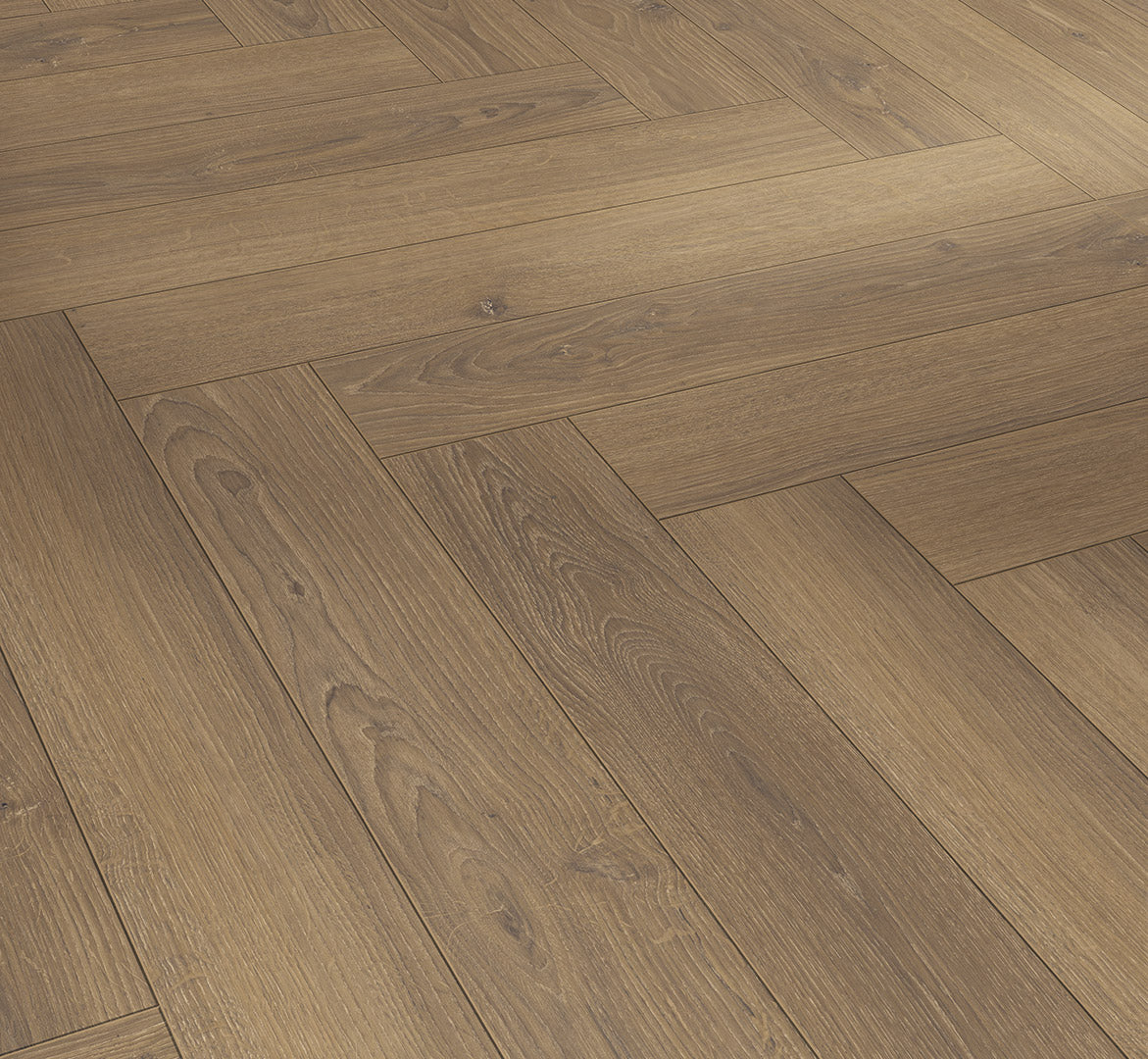 Oak Studioline honey