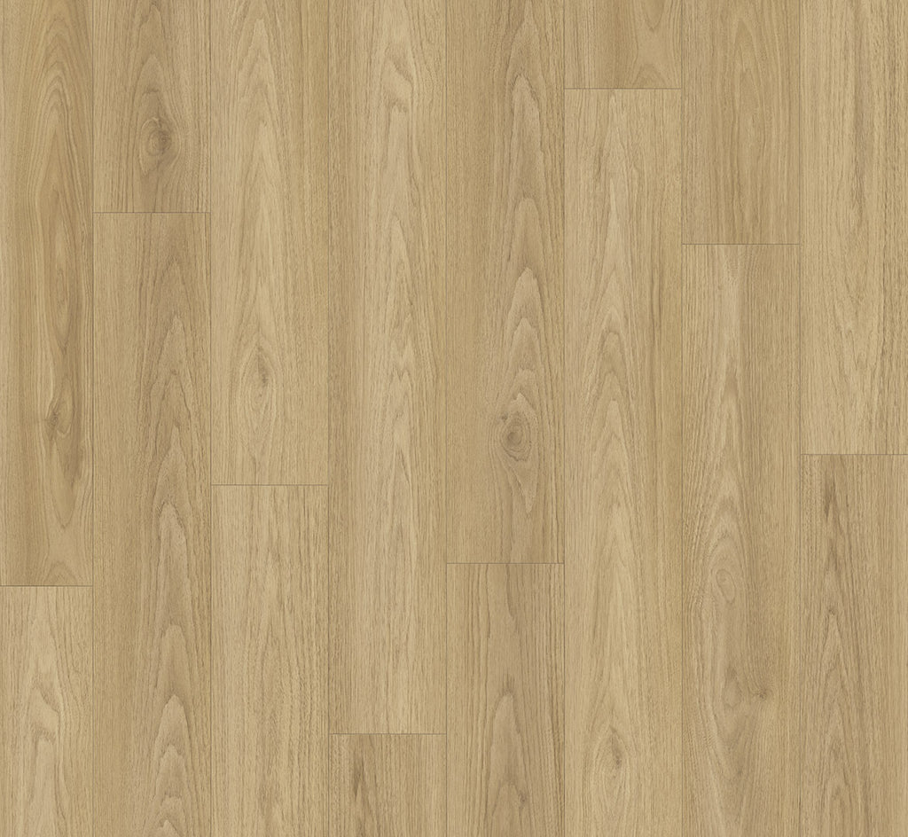 Hickory