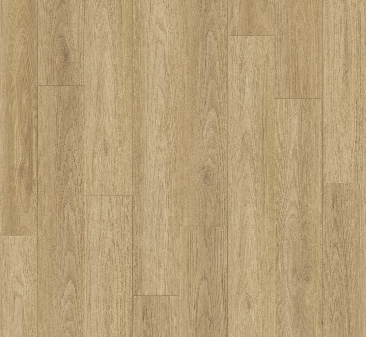 Hickory