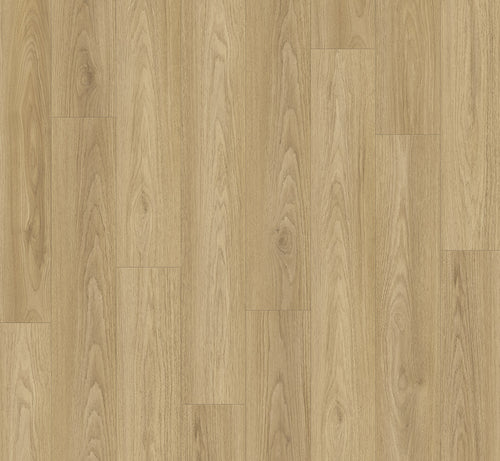 Hickory