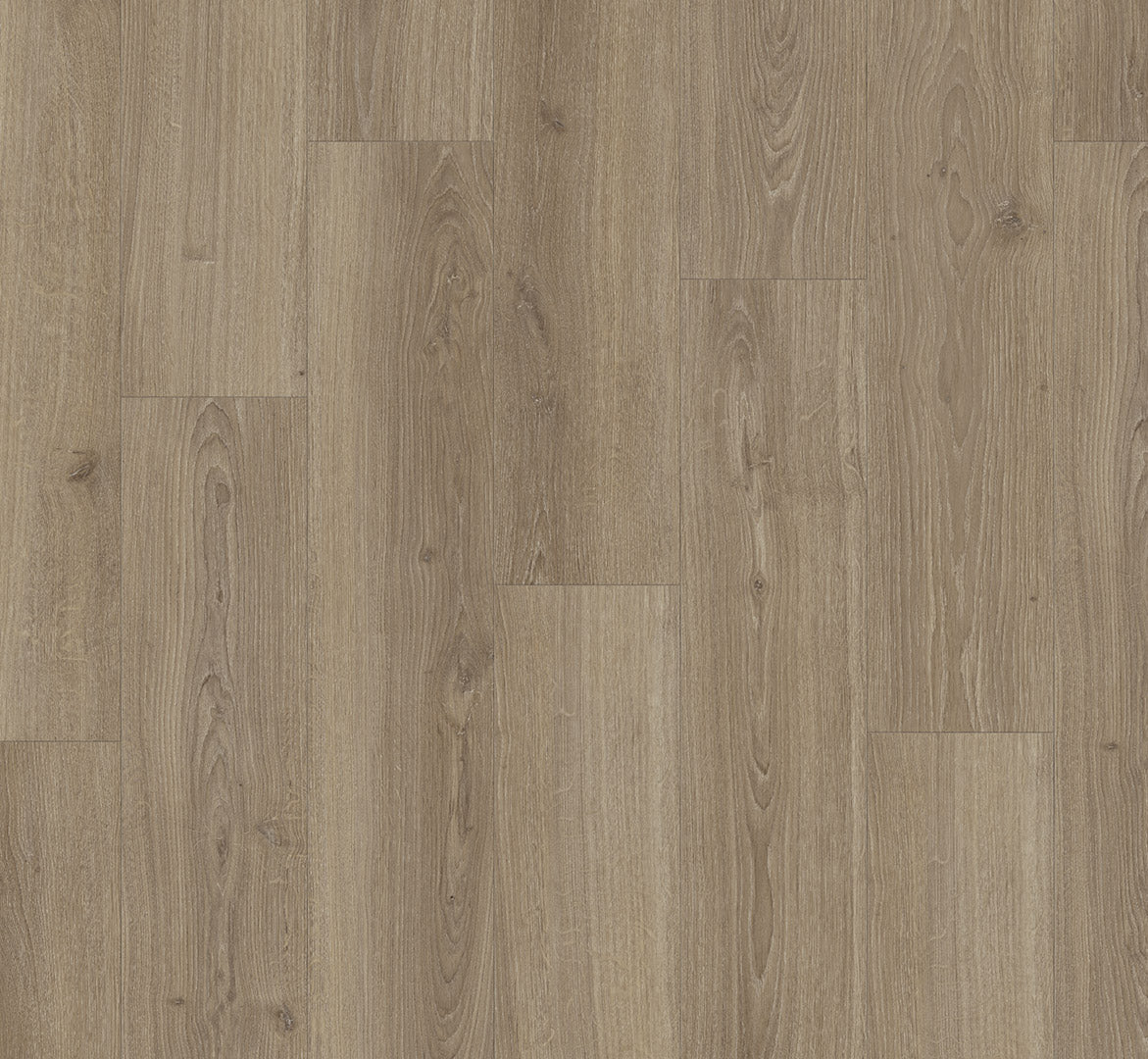 Oak Studioline macchiato