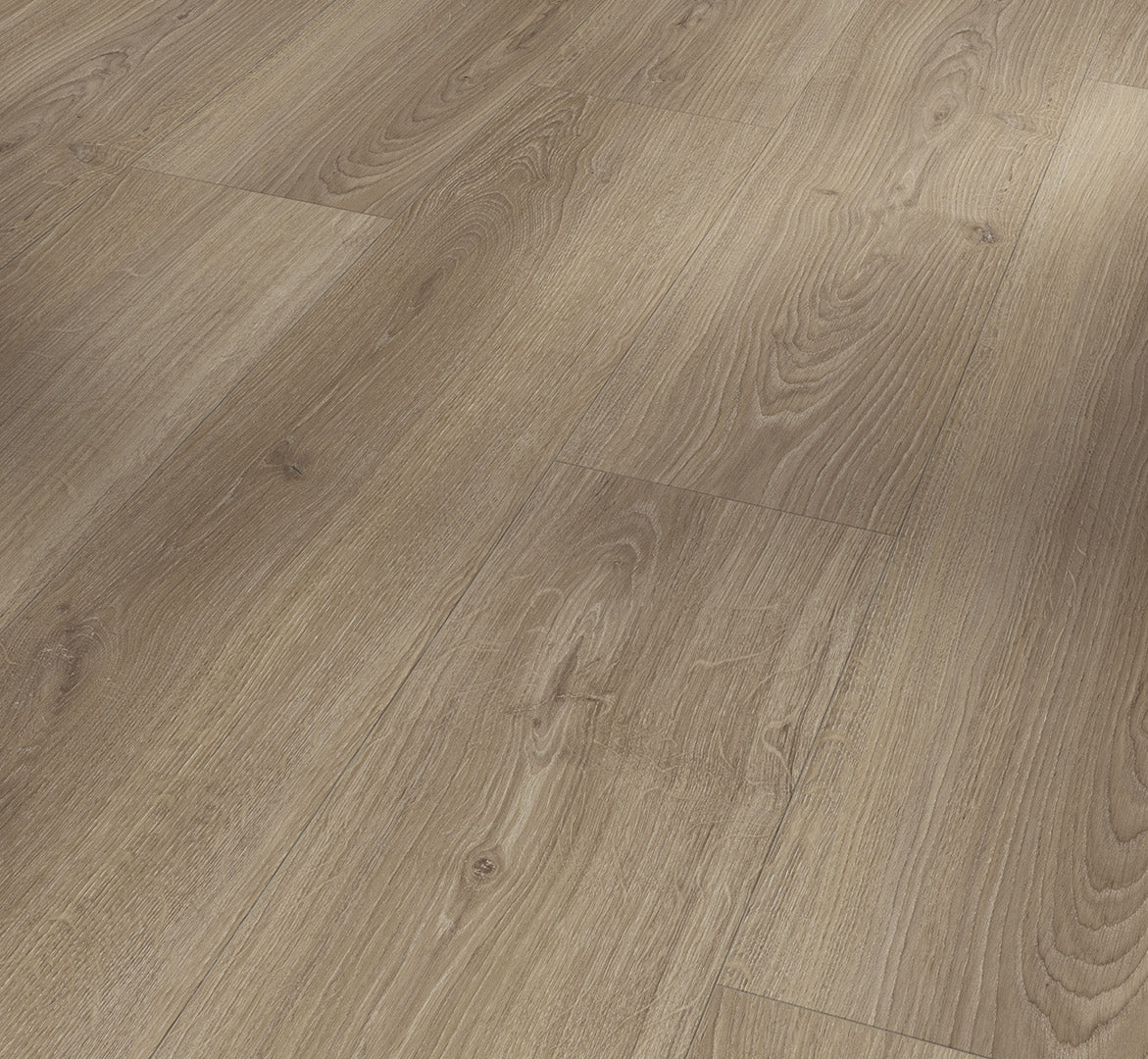 Oak Studioline macchiato
