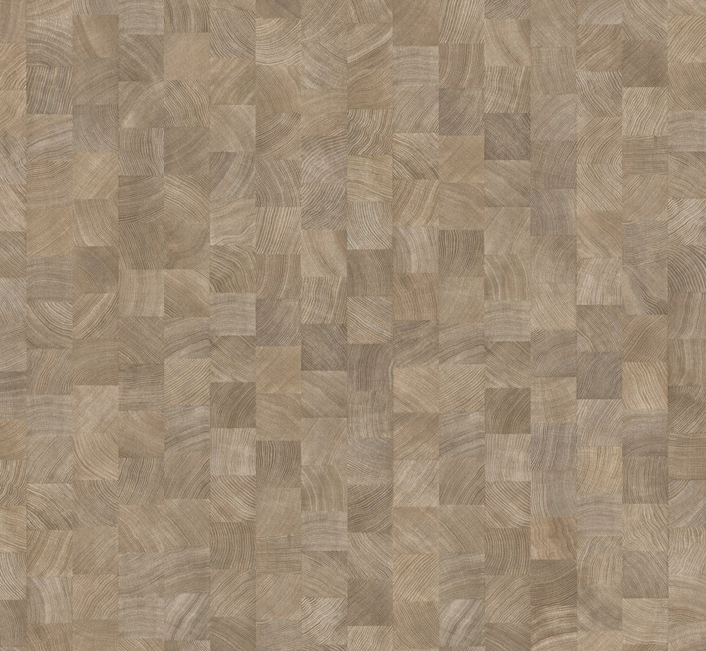 Oak crosscut limed