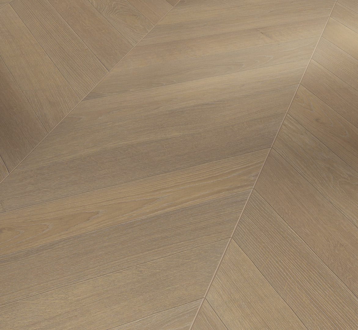 Oak Sienna